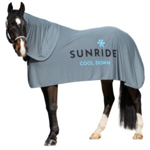 3in1 クールダウンラグ 冷却馬着 グレー Sunride